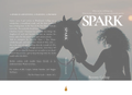 SPARK: Signed 1st Edition
